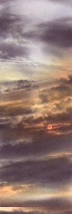 ELEVATION IV
