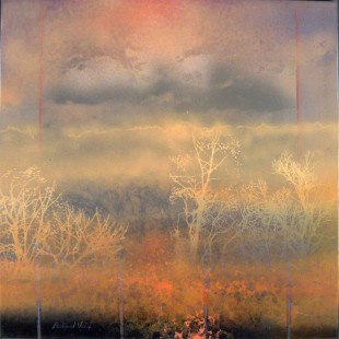 AMBER CONCERTO V